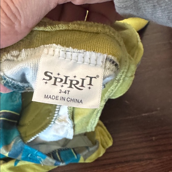 Spirit T-Rex Toddler Costume - Green and Blue - Picture 7 of 7